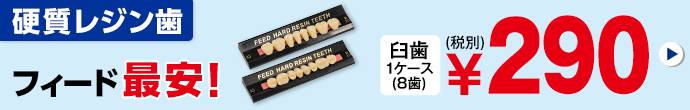FEED硬質レジン歯 臼歯
