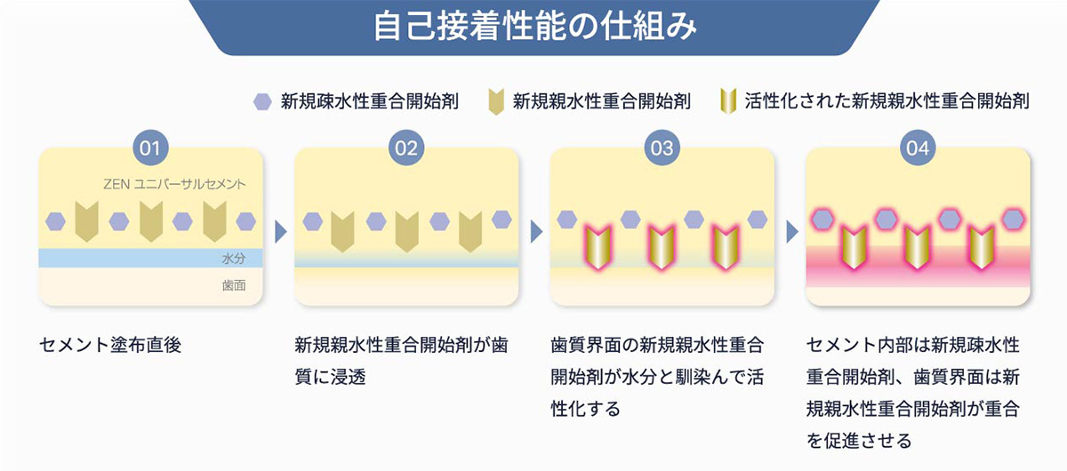 自己接着性能の仕組み